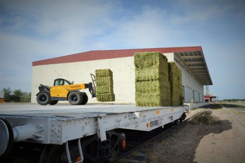 Cattle feed in San Luis. Photo: San Luis Logistica