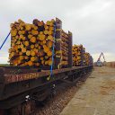 image of a loaded timber rail wagon ready to depatr